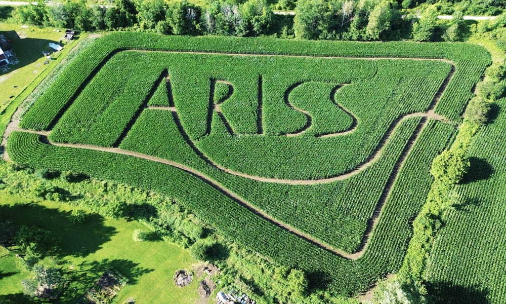Family corn maze honours community  of Ariss post image