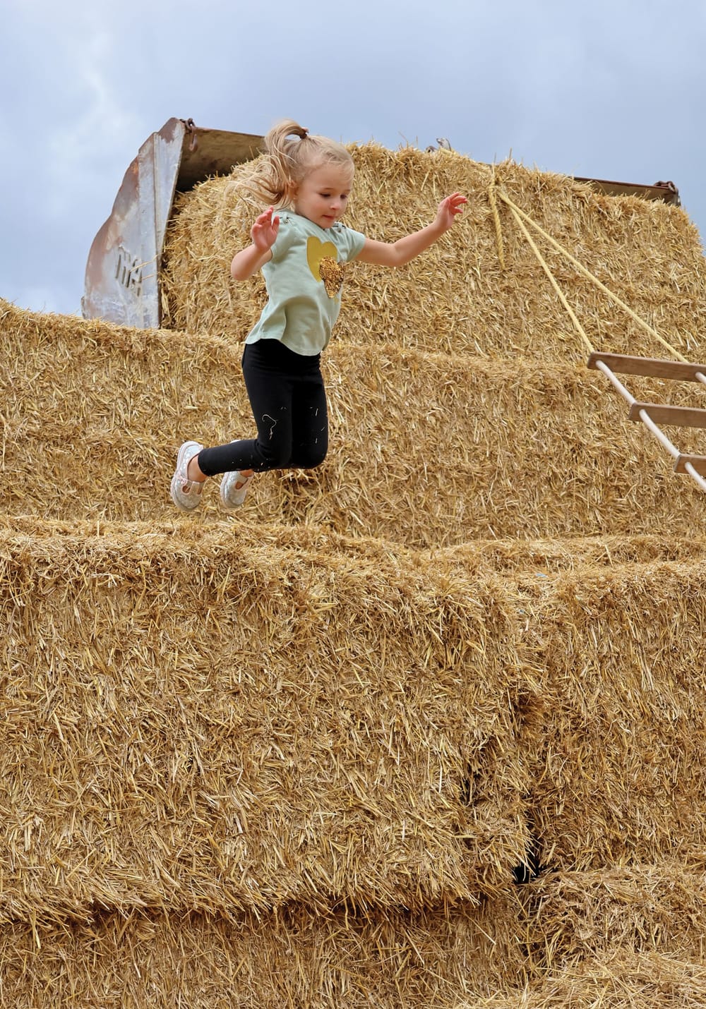 John Deere Heritage Days brings tractor enthusiasts to Puslinch post image