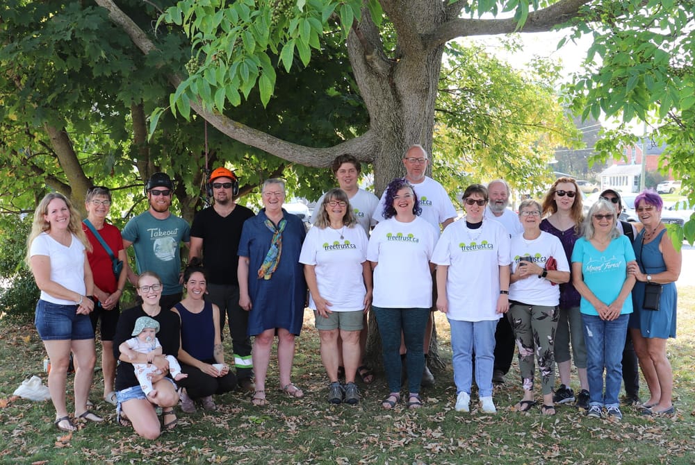 Planting event celebrates Mount Forest’s ‘Tree of the Year’ post image