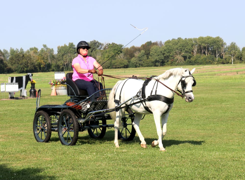 Conespalooza post image