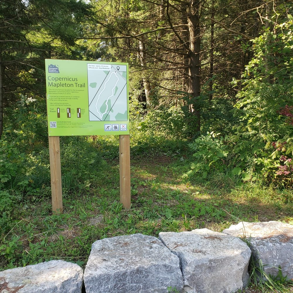 New walking trail south of Arthur post image