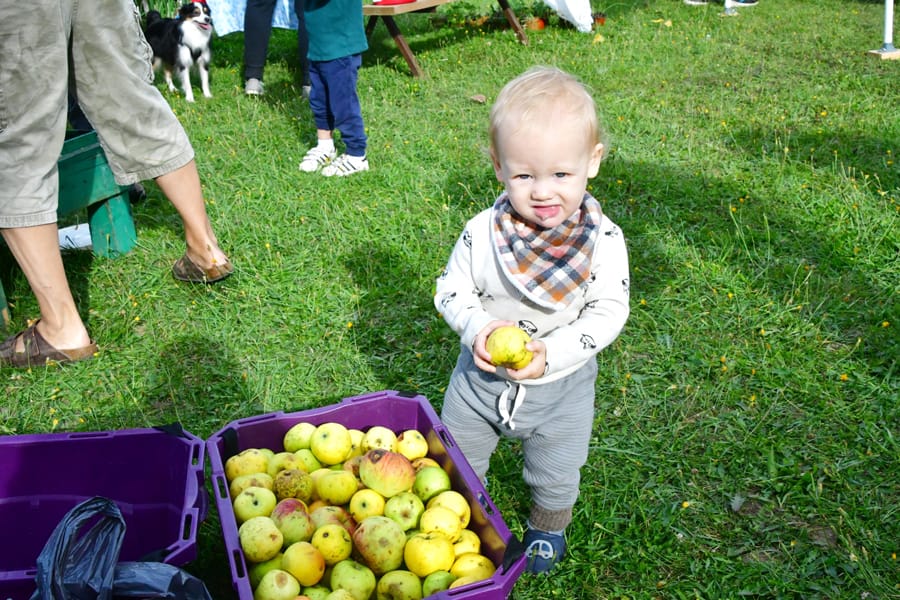 Food Forest Centre Wellington opens gardens for open house post image