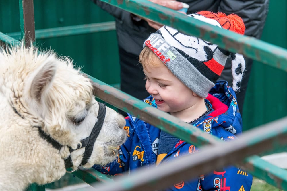 Local vendors kick off Christmas in Erin post image