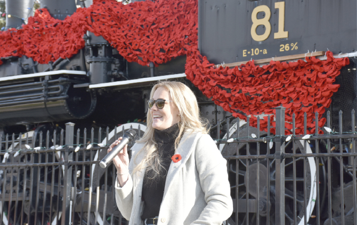 Palmerston Poppy Project doubles in size post image