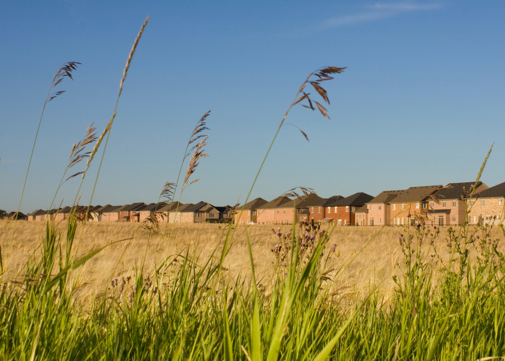 OPINION: Farmland preservation is not just an Ontario priority post image