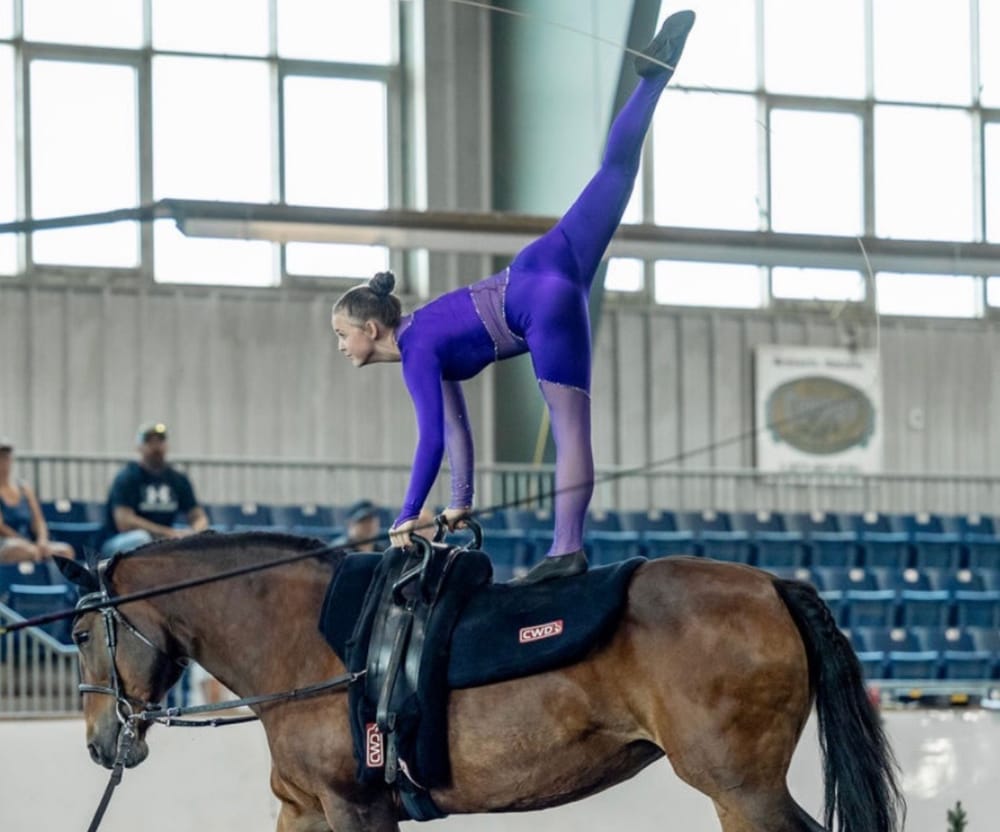 Vaulting gains traction in Ontario as equestrian sport post image
