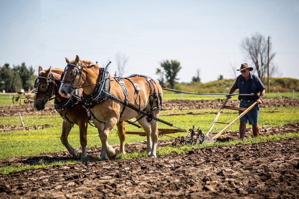 International Plowing Match and Rural Expo heads to Niagara region post image