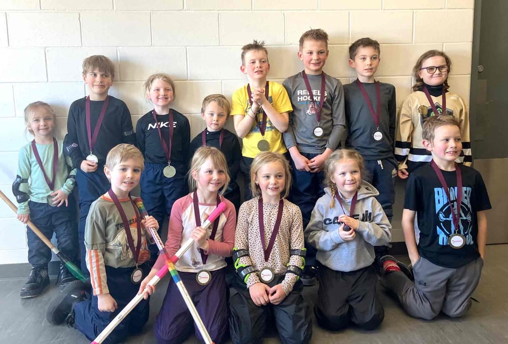 Palmerston hosts co-ed broomball tournament post image