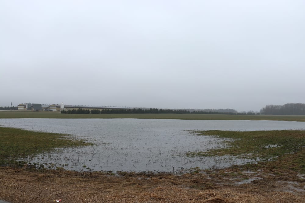 Grand River Conservation Authority issues flood warnings in Drayton post image