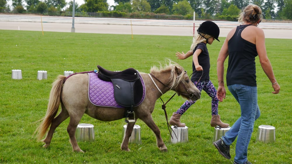 OPINION: mounted games group seeks new members post image