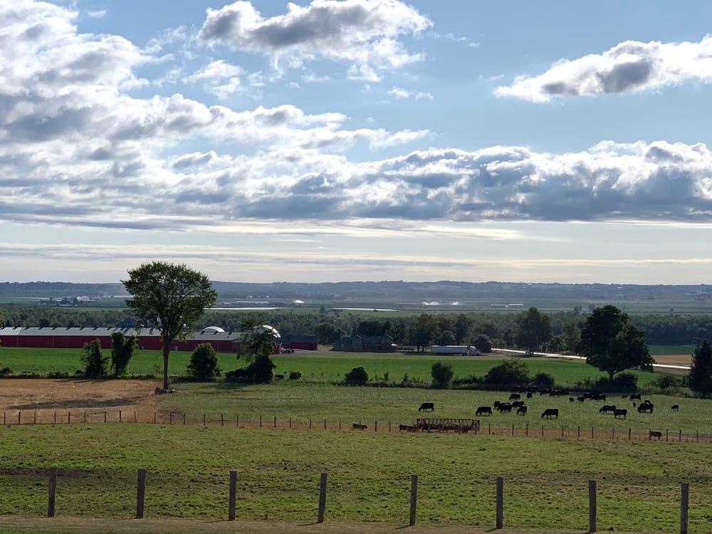 OPINION: Agriculture must be part of discussion on interprovincial trade barriers post image