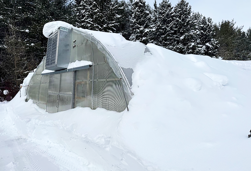 Damaged Green Legacy greenhouse to get $44,000 makeover post image