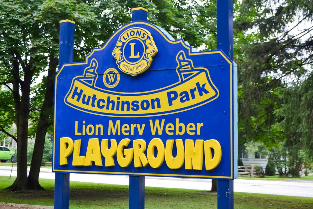 Open house will gather input on Lion Merv Weber Playground design post image
