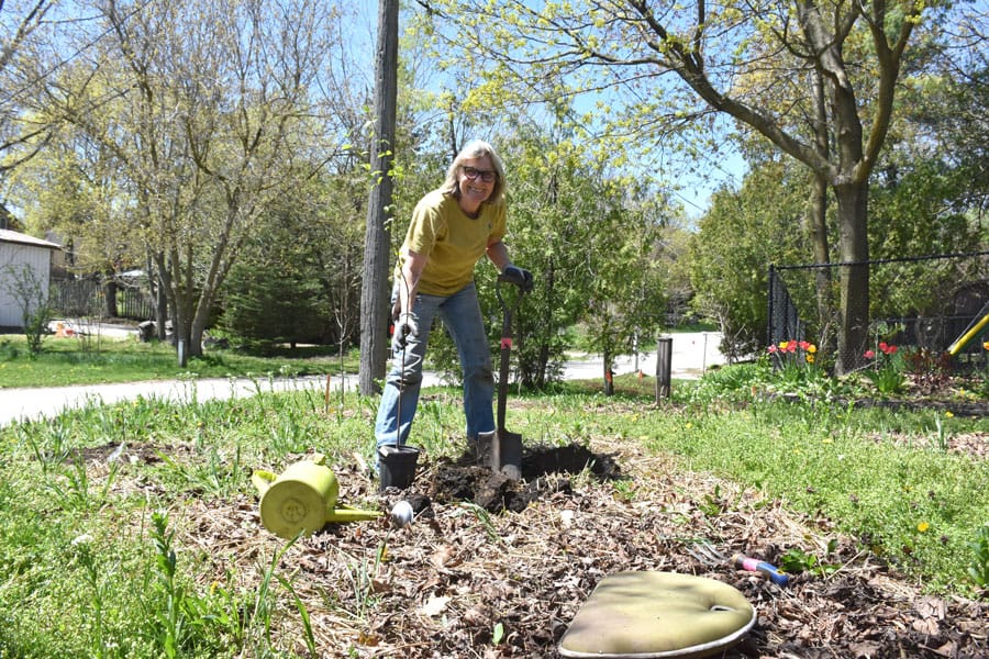 Not into vegetable gardening? Try planting a food forest post image