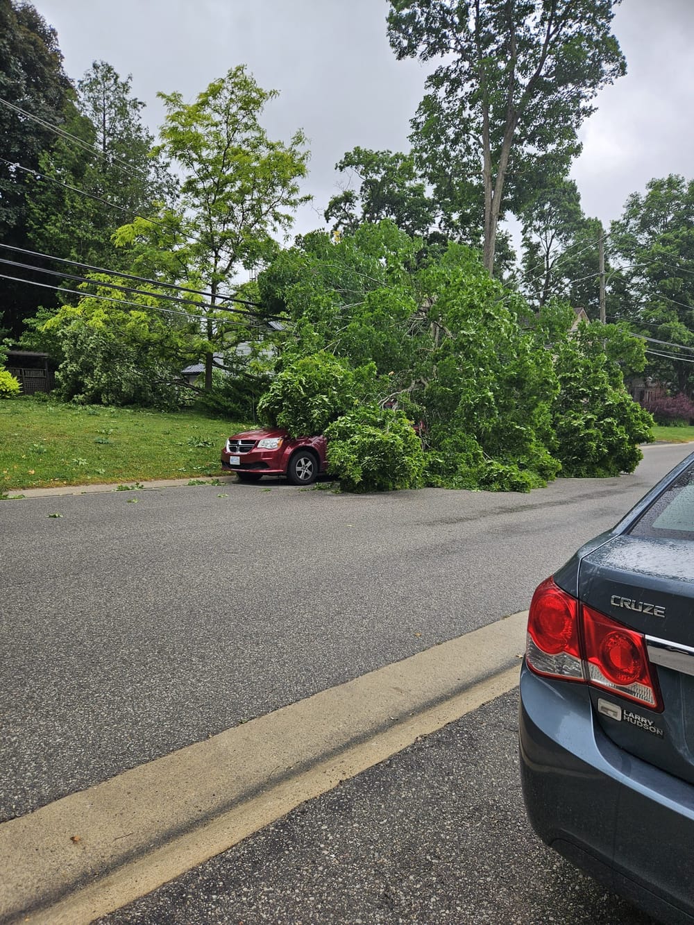 Guelph Street in Rockwood saw damage from strong winds post image