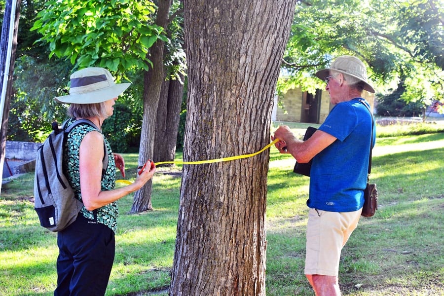 Volunteers record tree growth data in Bissell Park post image