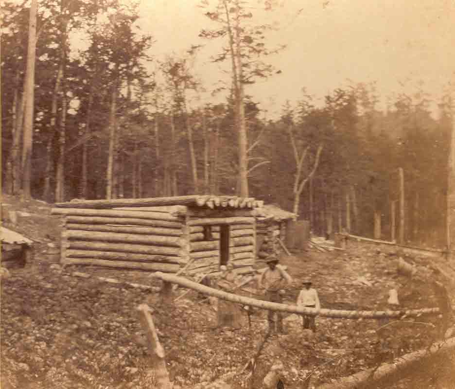 Palmerston native works to archive community’s history post image