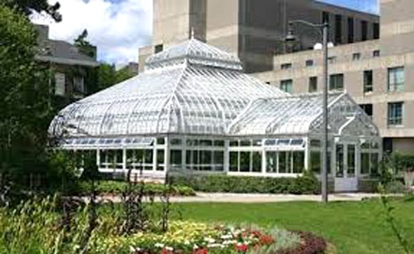 University seeks public input on garden to replace already demolished conservatory post image