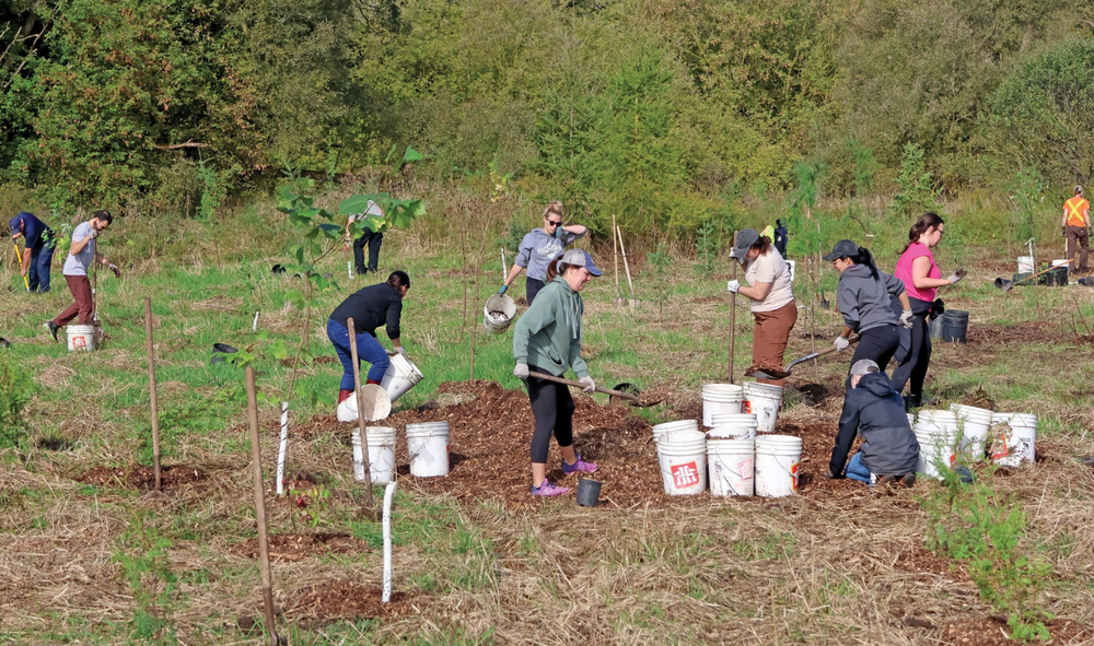 Guelph/Eramosa hosting Warden's Tree Planting event post image