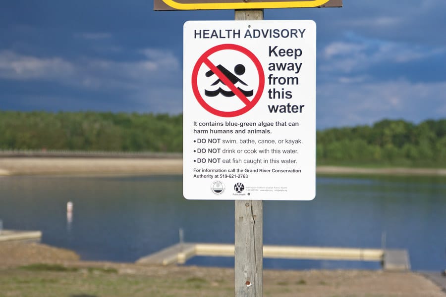 Conestogo Lake Conservation Area beach closed for rest of summer post image