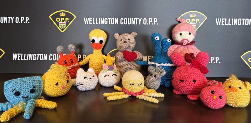 Wellington OPP accepting  plushies for ‘Soft Hearts Initiative’ post image