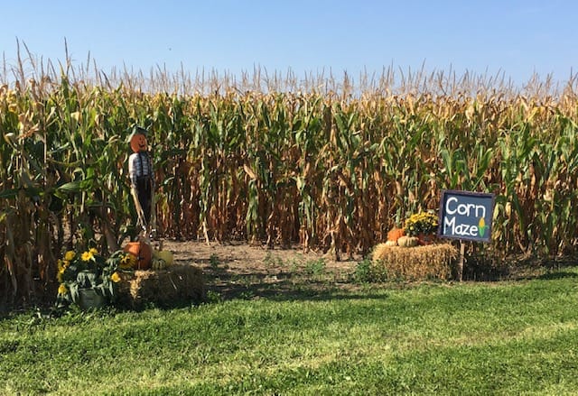 County gets its scare on with Halloween attractions post image