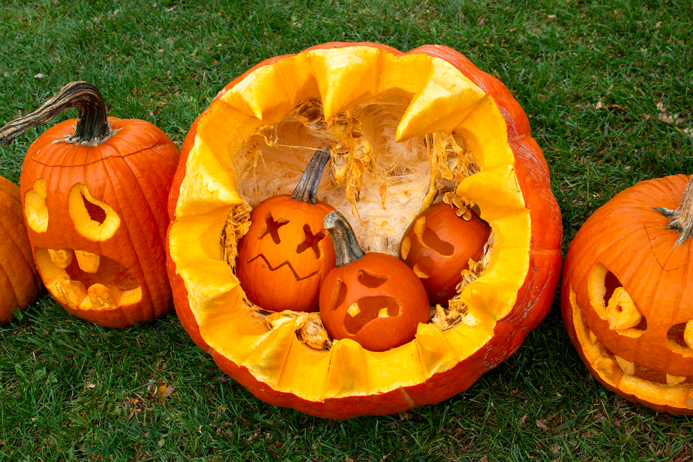 Wellington County Museum and Archives hosts Pumpkin Walk post image