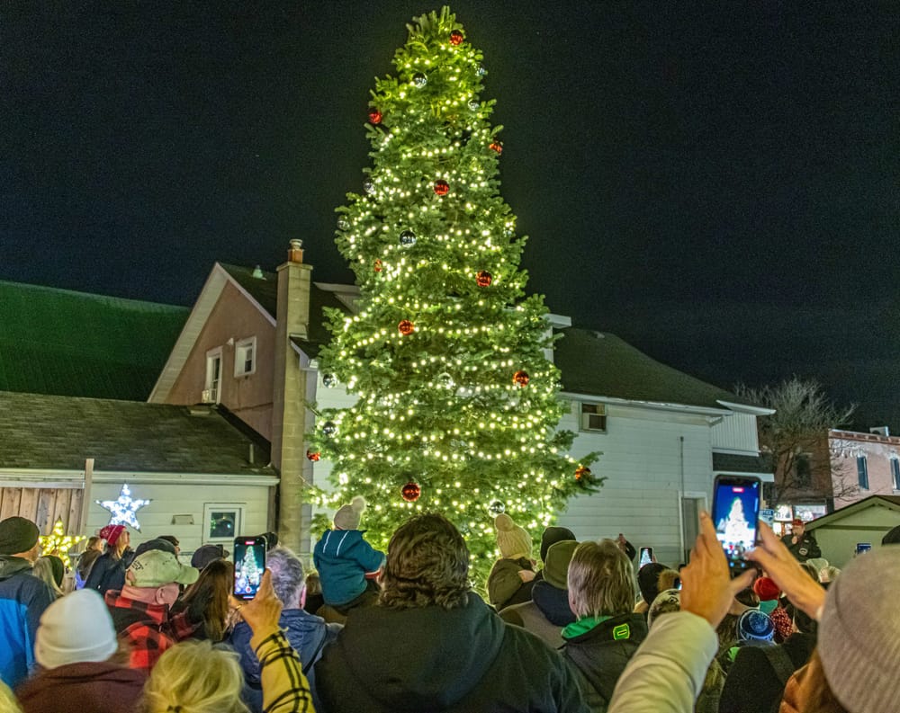 Window Wonderland event kicks off festive season in Erin post image