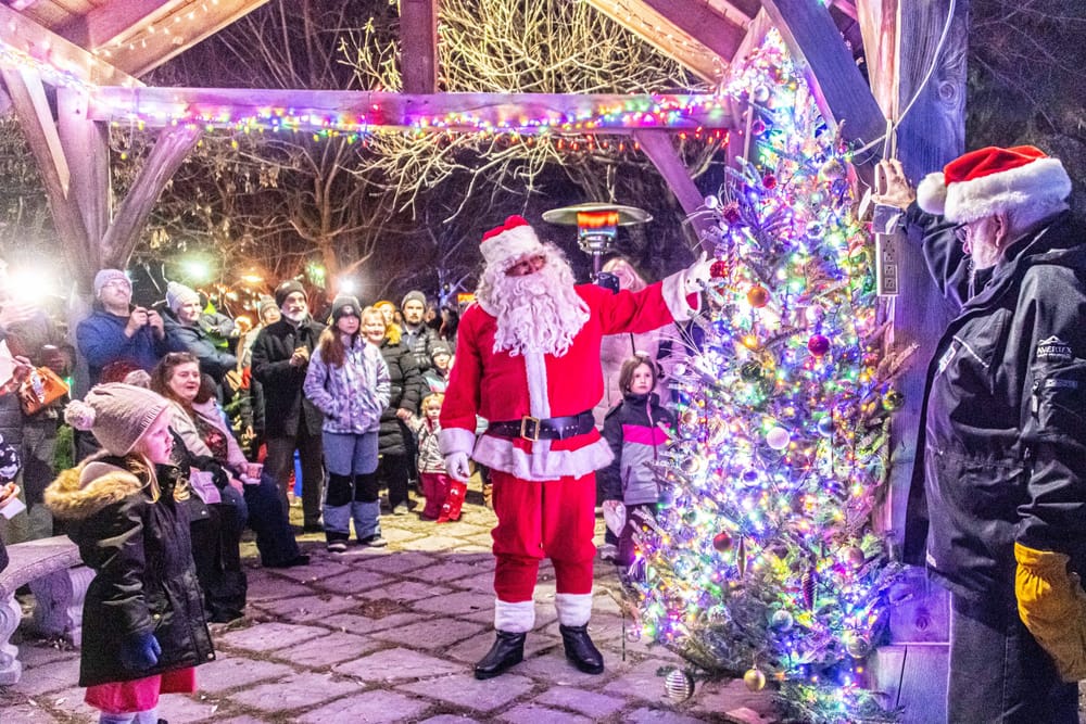 Santa does honours at annual tree lighting in Hillsburgh post image
