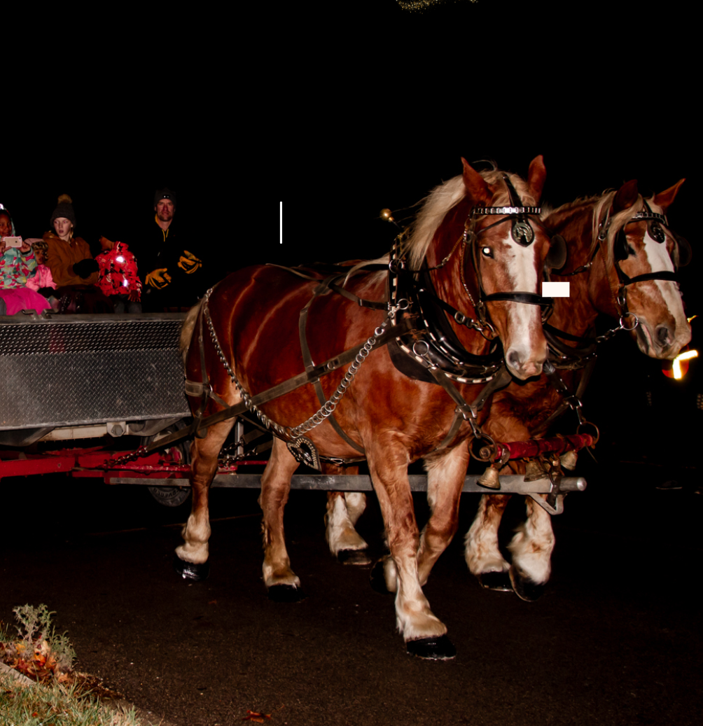 Clifford Connects to host Winter Magic Market post image