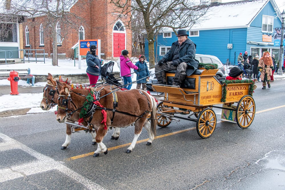 Erin Lions Club hosts themed Santa Claus parade post image