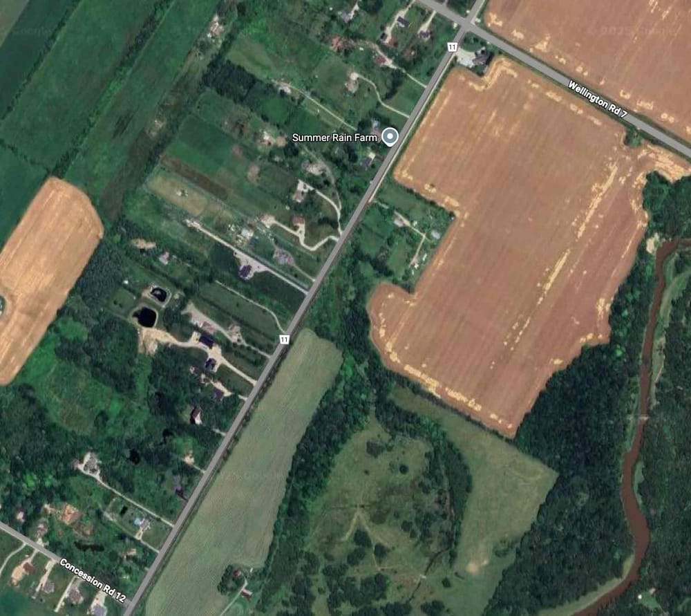 Mapleton council considering stricter gun rules post image