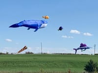 Giant kites coming to Clifford for new community event post image