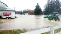 Mapleton applies for flood mitigation funding post image