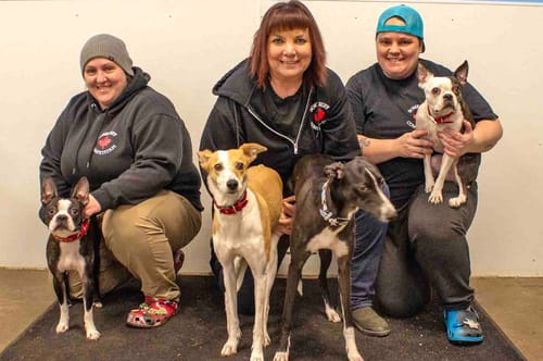 Canine athletes make history in New York post image