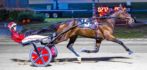 Local horsemen with Maritime roots win top harness racing awards post image