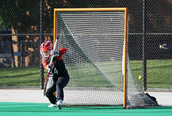 New lacrosse club searching for players across southern Ontario post image