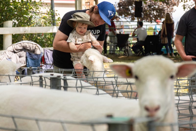 Fergus Agricultural Society will catch a break for one more year post image
