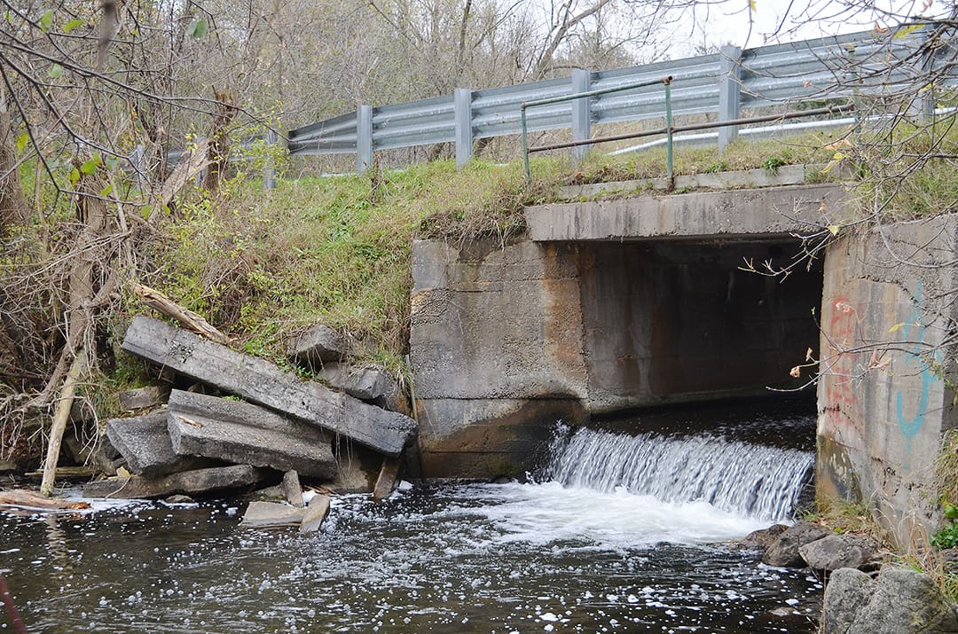 Town of Erin could get rid of Hull’s Dam