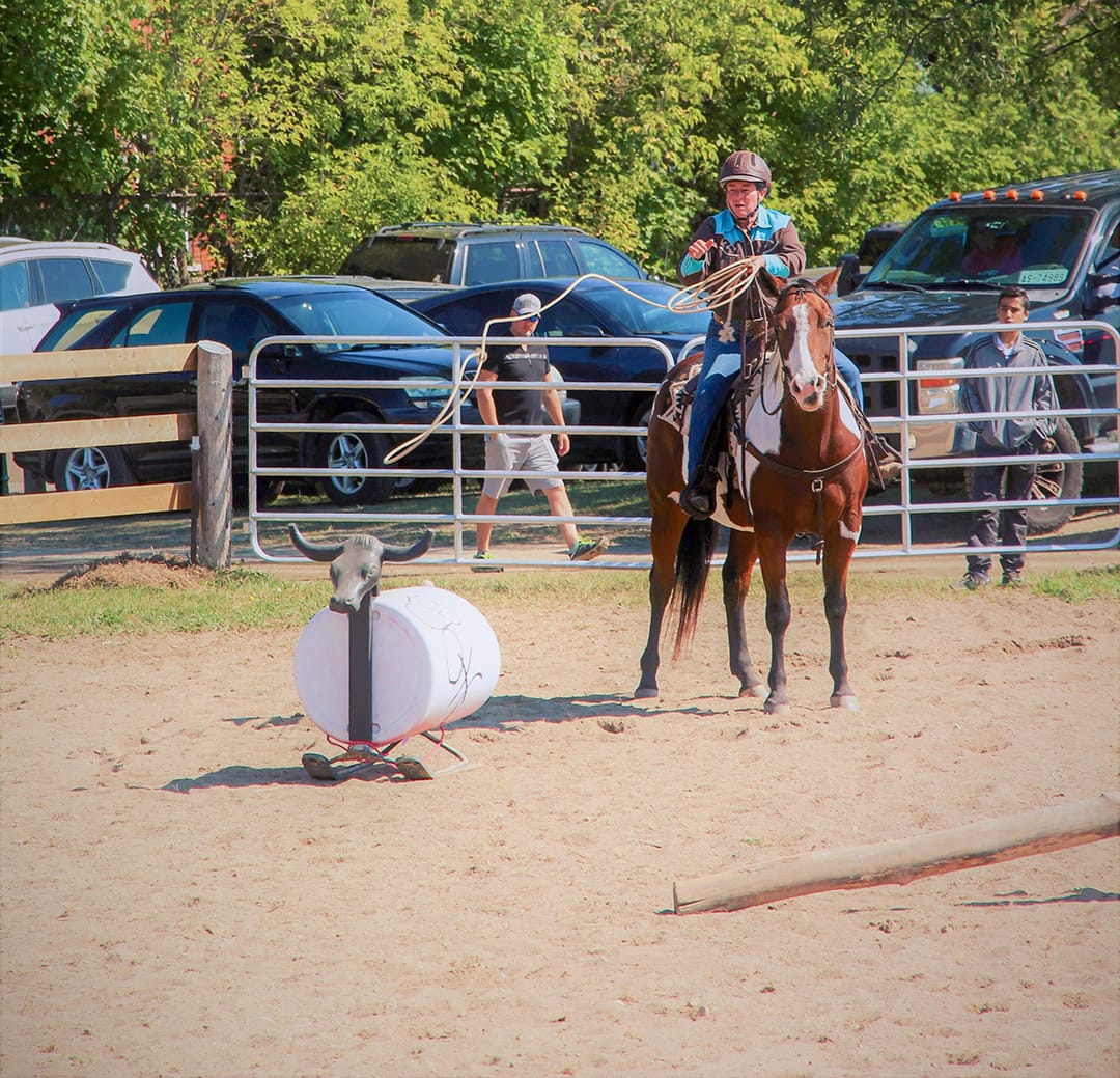 OXC racing, Horse Day Erin comes this June