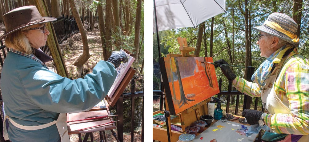 ‘Plein’ sites in Centre Wellington