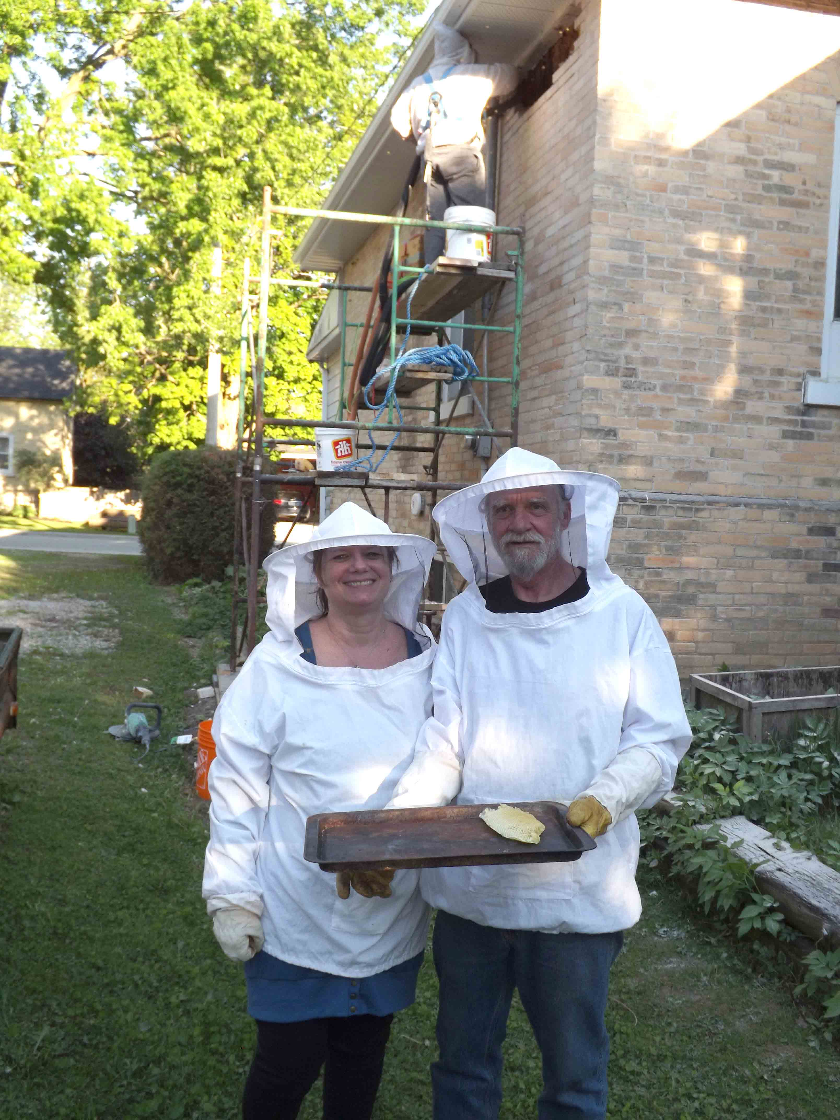Bee rescue specialist removes massive hive