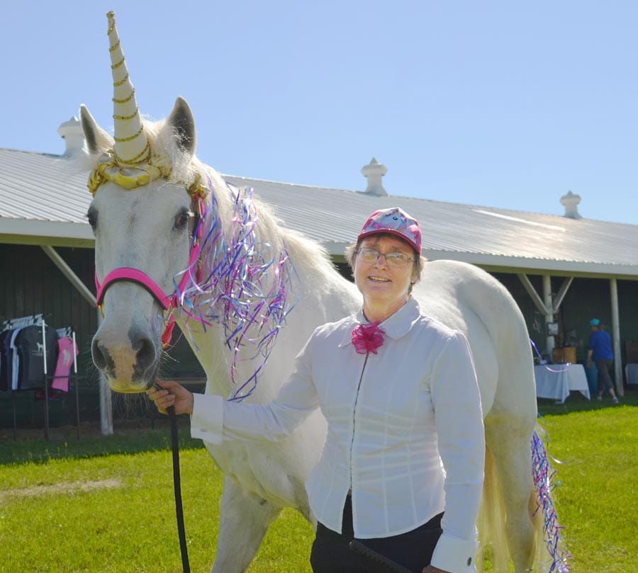 Horse Day Erin took included a variety of equine events