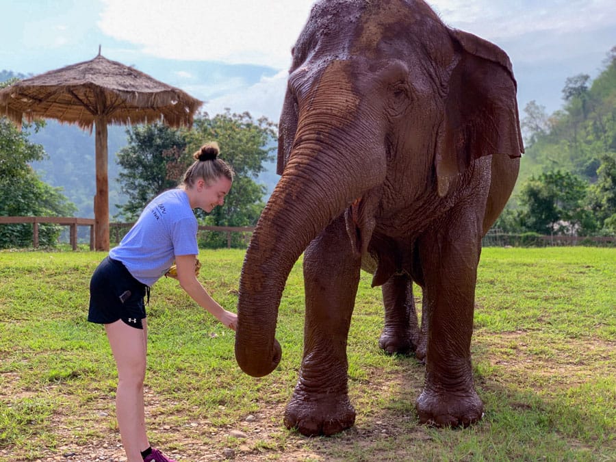 Alma resident travels to Thailand; works with elephants, dogs