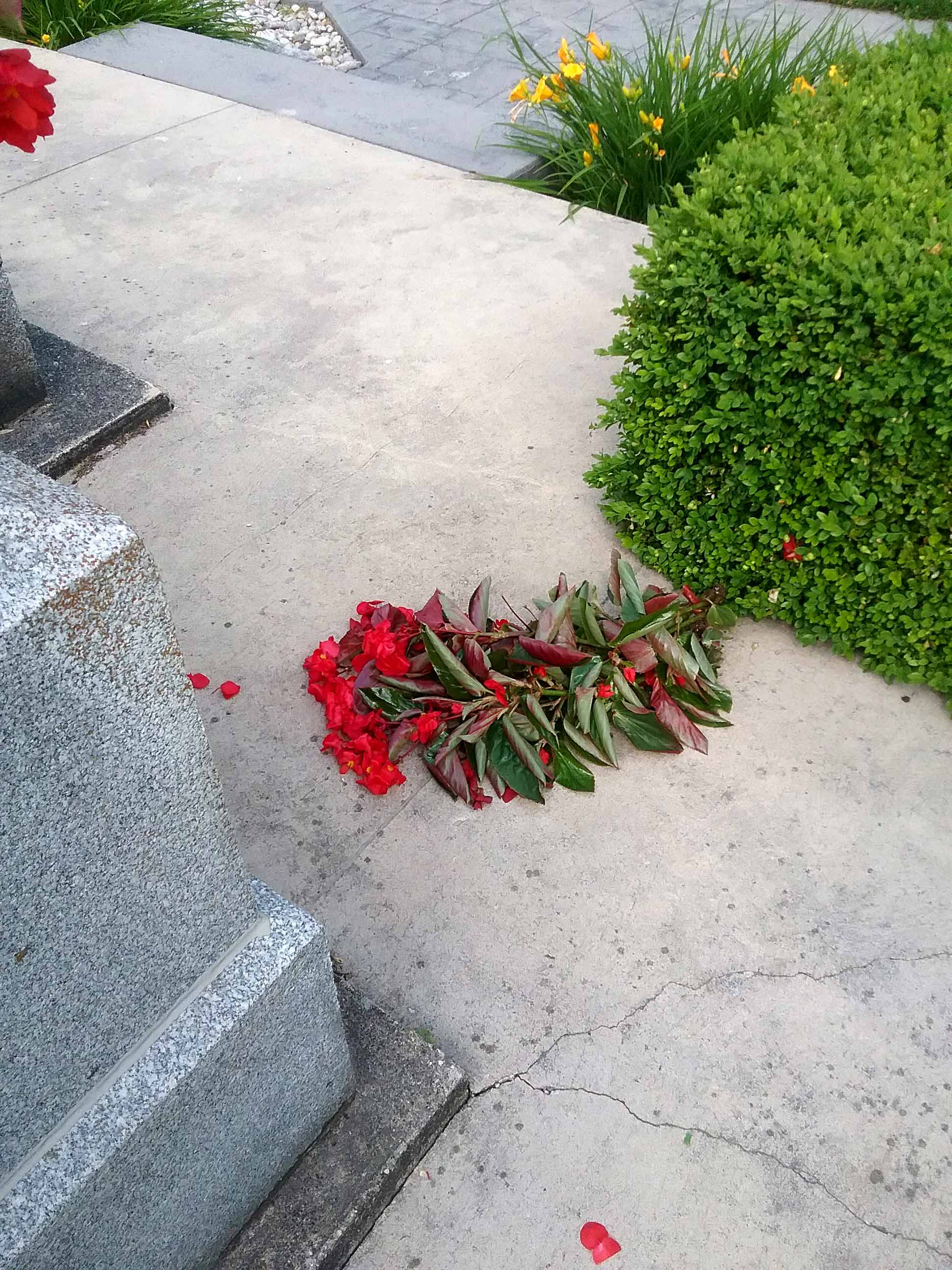Vandalism at Mount Forest cenotaph