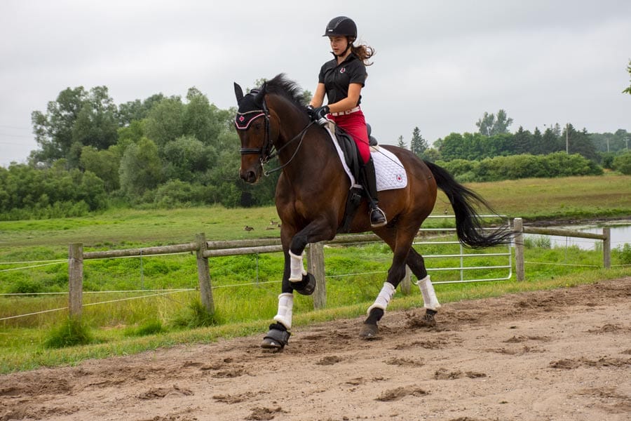 Local youth competing at international dressage competition