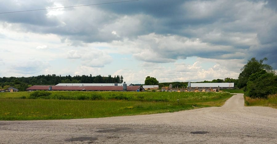 WrightHaven Homes presents new proposed plan of subdivision in Inverhaugh