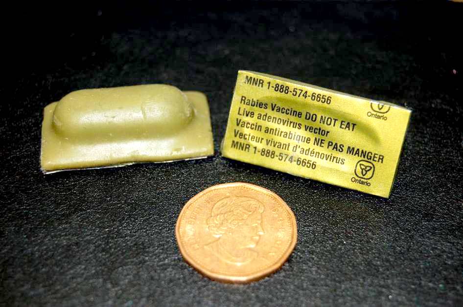 Ministry’s rabies vaccine drop planned in Wellington