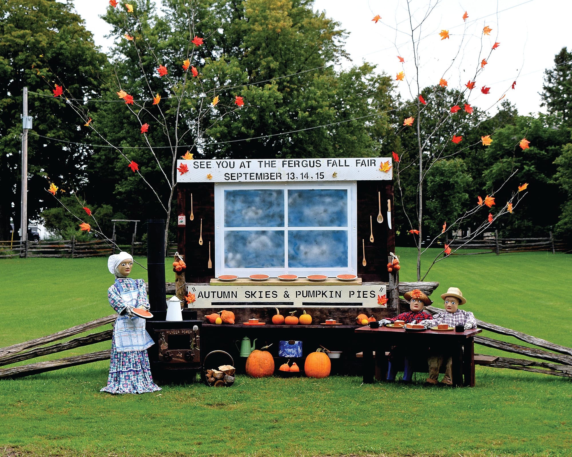 Fergus Fall Fair display winner