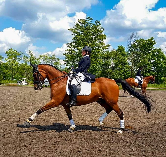 Konyer wins Grand Prix Special at Anglestone National Dressage Show with Centaur LF
